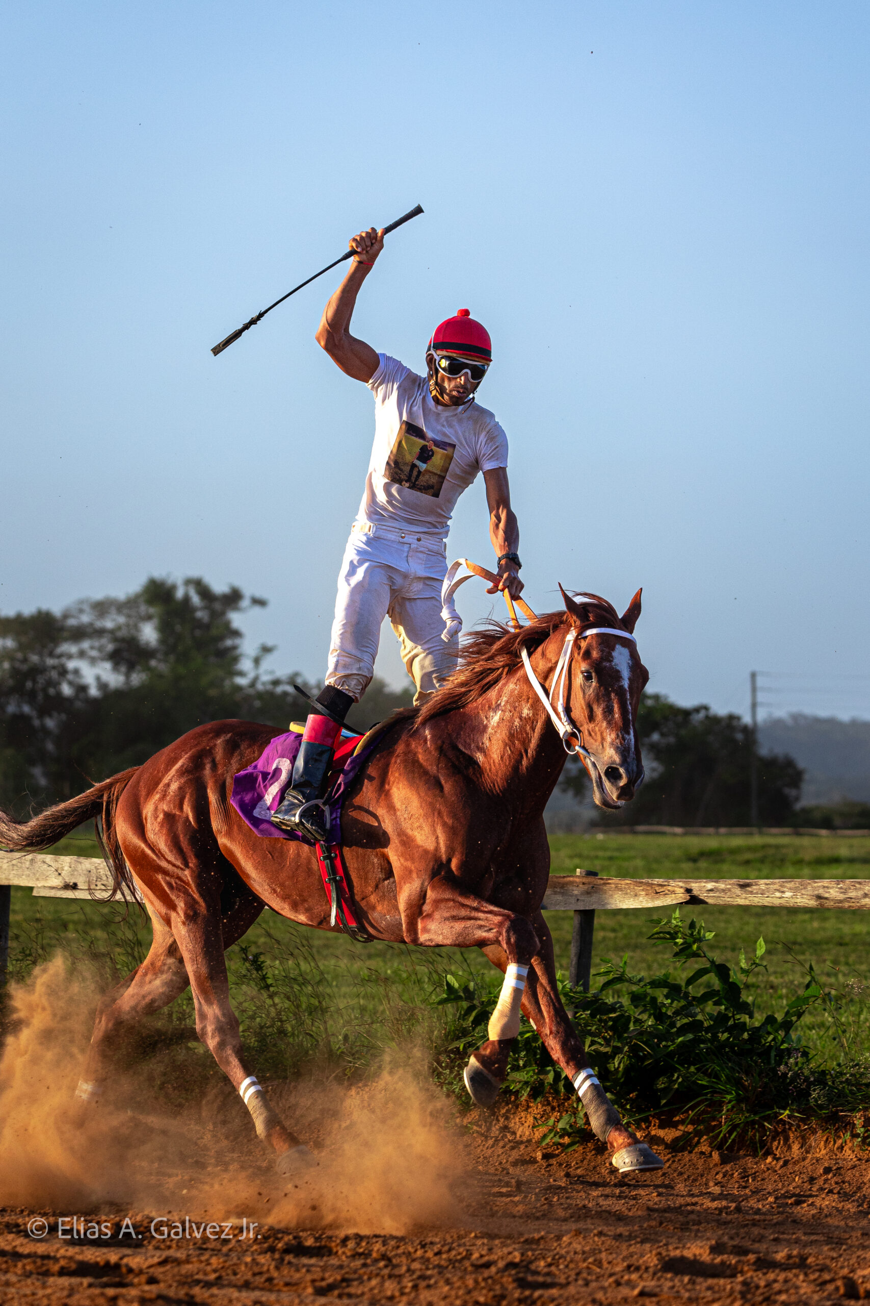 SEHorseRace030324WM-7113